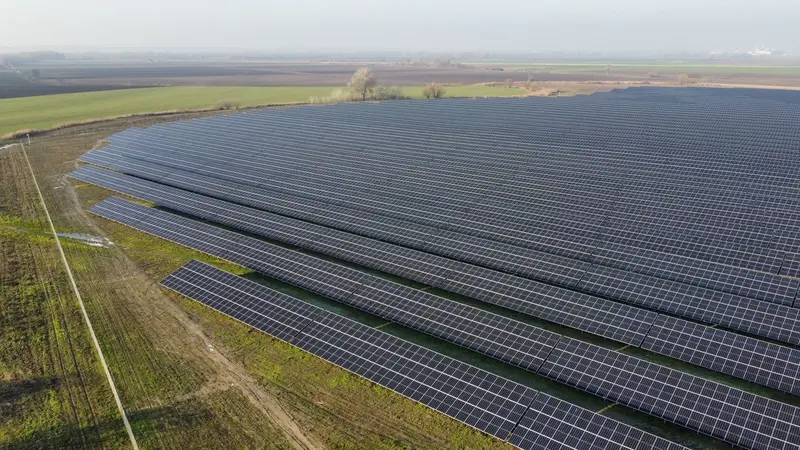 Zonnepark van bovenaf, met rijen panelen in een weiland